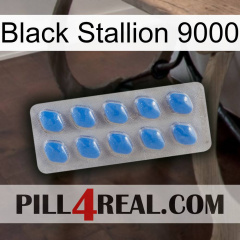 Black Stallion 9000 22